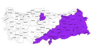 Süper Kalkınmada Öncelikli İller bölge haritası